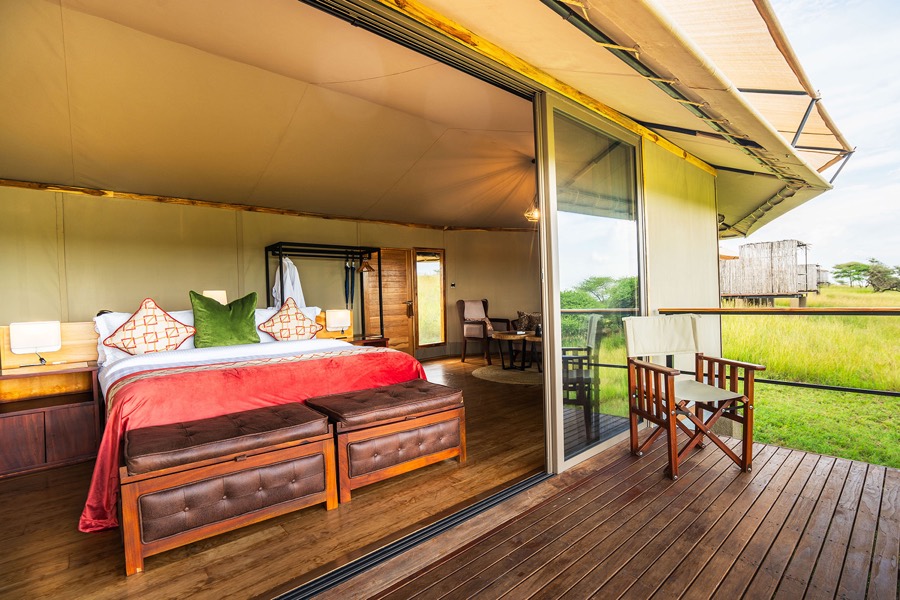King Safari Tent